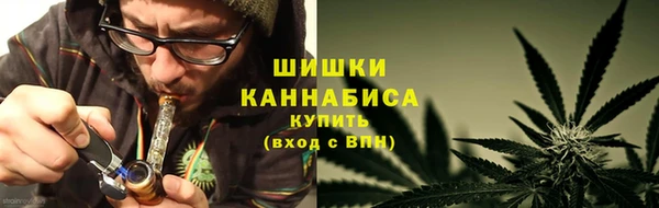 PSILOCYBIN Елабуга