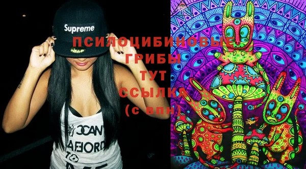 PSILOCYBIN Елабуга