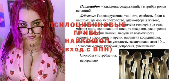 прущая мука Ельня