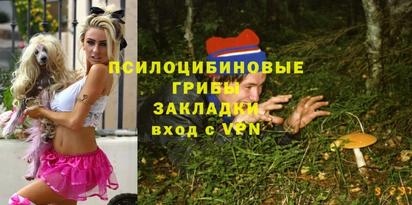 прущая мука Ельня